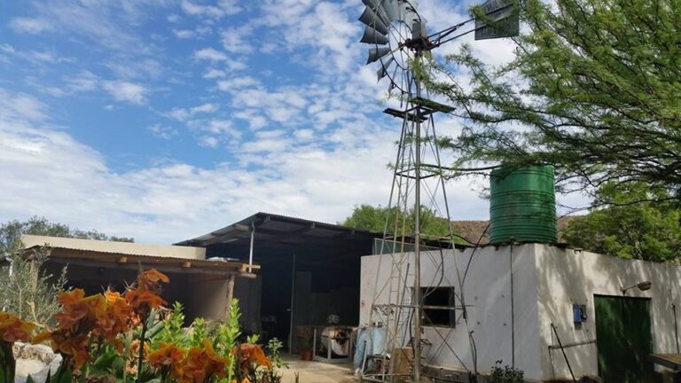 Windmill on smallholding for sale in Prince Albert