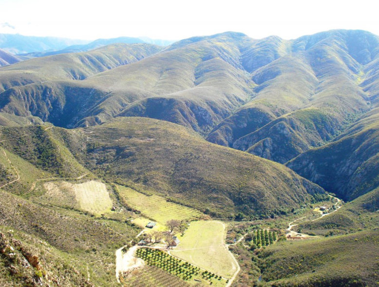 EXCEPTIONAL OPPORTUNITY. LARGE FARM IN KOUGA MOUNTAINS. FARMING AND TOURISM